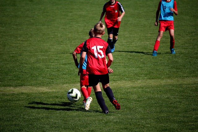的梯次培